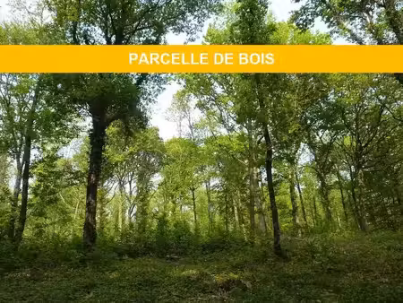 vente terrain 12200 m2 à sérifontaine