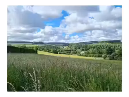 terrain à bâtir à vendre à sur le batis lot 7 tenneville (vwd18981)
