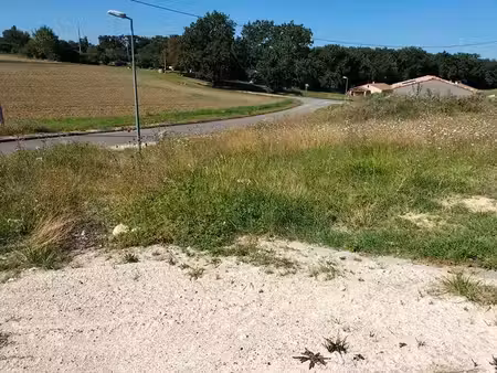 terrain de 11863 m2 - mauvezin  occitanie