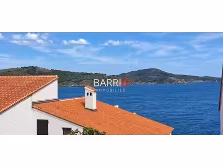 maison de 5 pièces de luxe en vente à banyuls-sur-mer  france