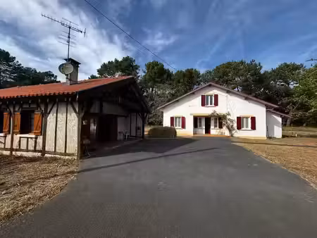 vente maison 7 pièces 167 m² à messanges (40660)  600 000 €