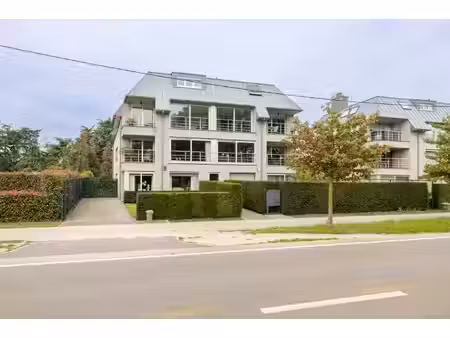 appartement te koop in zandhoven met 6 slaapkamers
