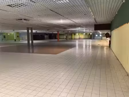 vente locaux professionnels 3560 m² à ploermel (56800)  1 498 000 €