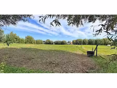 terrain agricole à vendre à hillegem pour € 39.000