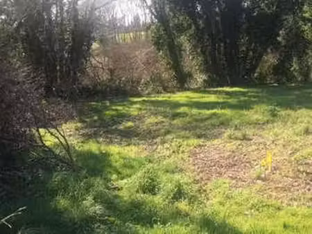 vente terrain à peumérit (29710) : à vendre / 6558m² peumérit