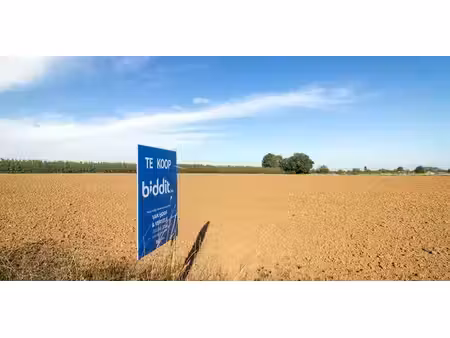 terrain agricole à vendre à brustem pour € 17.000