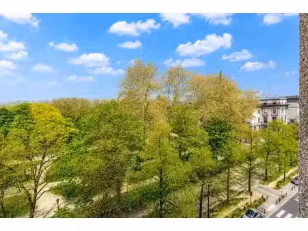 vue magnifique sur le parc du cinquantenaire