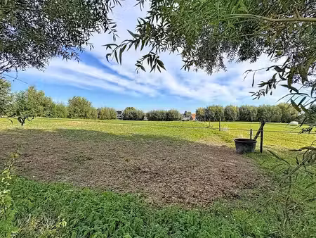 weiland van 4840m² in het idylissche stuivenberg te hille...