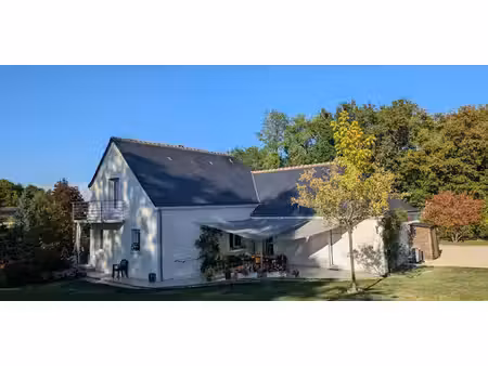 maison avec jardin amboise (37)