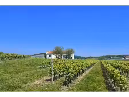 maison à vendre à châteauneuf-sur-charente (16120) - charente