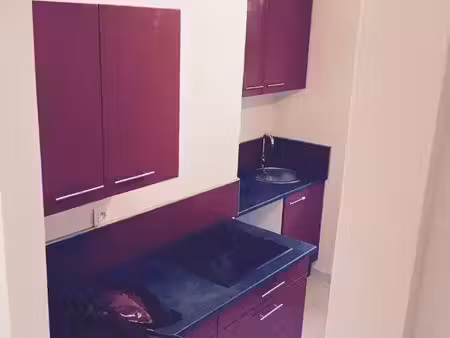 superbe 3 pièces 53 m² à grenoble