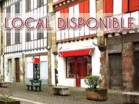 plein centre ville
