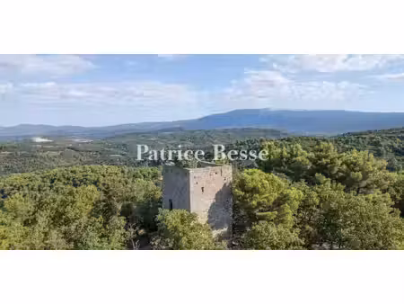 maison avec piscine venasque (84)