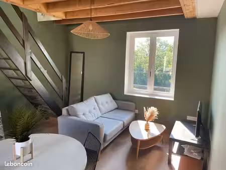 appartement duplex 46m2 vernaison centre
