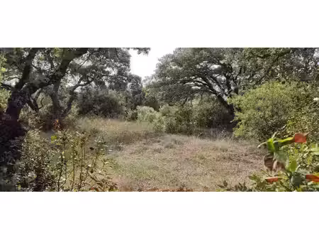 terrain à bâtir de 1200 m2 au calme absolu