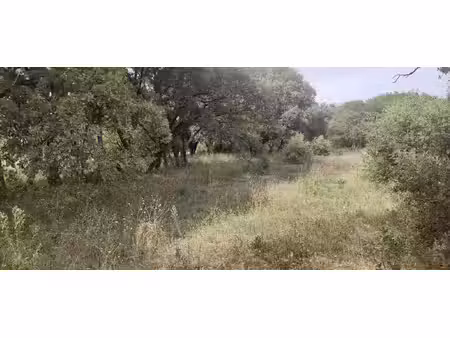 terrain à bâtir de 1500 m2 au calme absolu