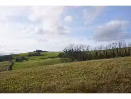 exclusivité luzinay terrain de 2 053 m2 avec permis d'am