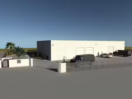 terrain