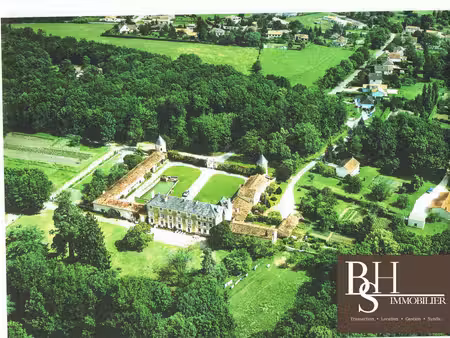 vente château
