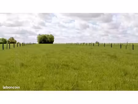 recherche herbage terrain agricole