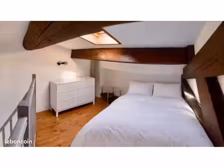 studio mezzanine équipé 20m²