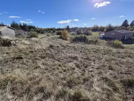 terrain