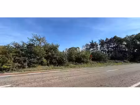 bois à vendre à peer pour € 40.000