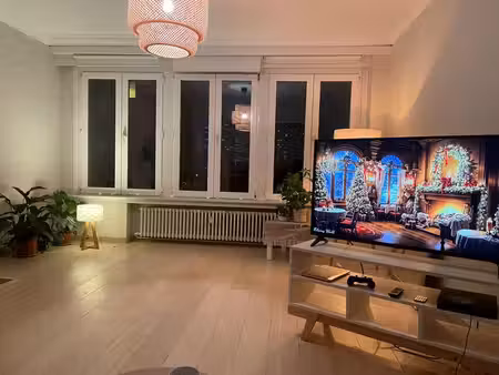 appartement 1 chambre à louer schaerbeek 49 caractères
