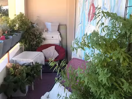appartement centre ville