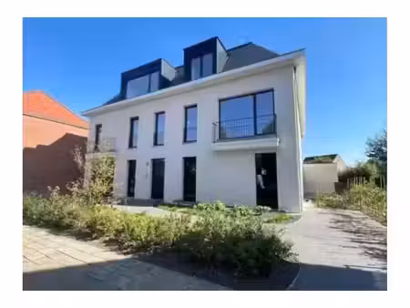 rez-de-chaussée à louer à lodewijk de konincklaan 335 hoogstraten (rbx13266)
