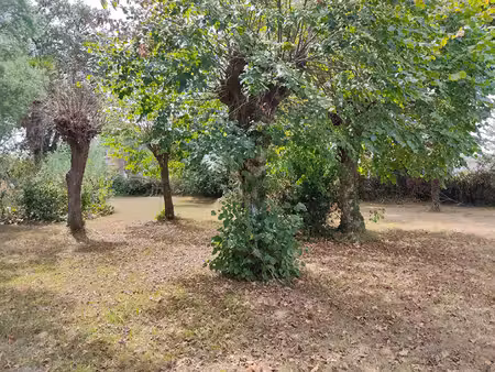 terrain fargues saint hilaire 1076 m2