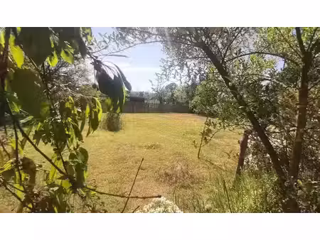 vente terrain 523 m² à parigné-l'evêque (72250)  56 000 €