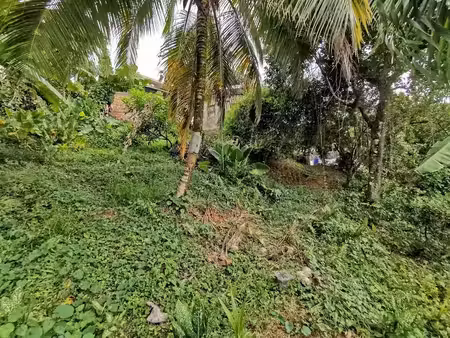 vente terrain 502 m² à le lamentin (97232)  62 500 €