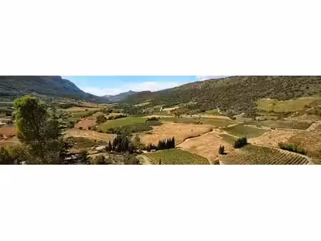 vente terrain 584 m² à ornaisons (11200)  84 900 €