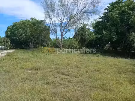 vente terrain 1032 m² à sainte anne (97180)  120 000 €