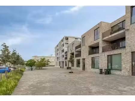 wonen aan de schelde in oudenaarde