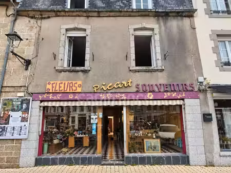 hueloogat – immeuble   logements et fort potentiel