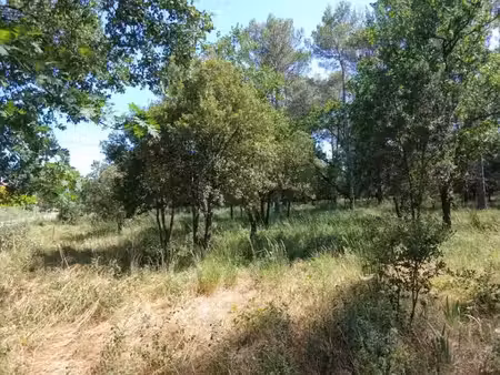 vente terrain 796 m² à garéoult (83136)  143 000 €