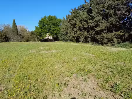 vente terrain 500 m² à aubignan (84810)  149 000 €