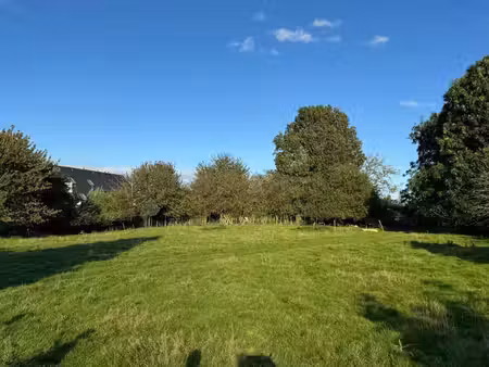 verger (prairie) de 31a 26ca