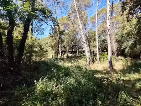 vente terrain 1880 m² à lorgues (83510)  170 000 €