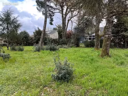 terrain 500 m² cartelegue