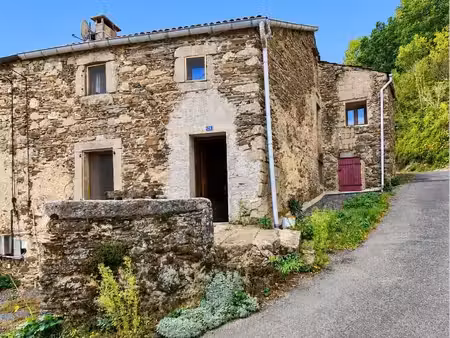 maison de bourg avec terrasse et terrains