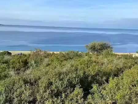 vente terrain à batir 2000 m² à saint-florent (20217)  700 000 €