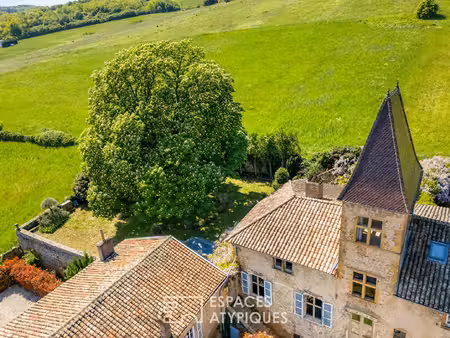 maison en pierres dorées du xviième siècle dans un château avec vue mont-blanc