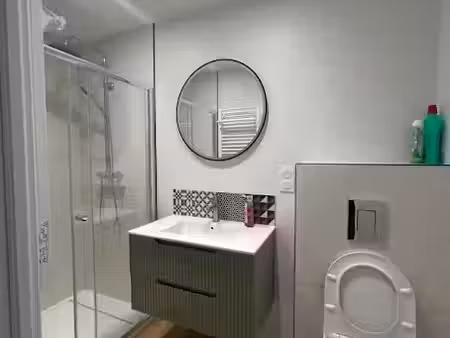 location appartement 1 pièce 27.58 m² à entre-deux-guiers (38380)  420 €