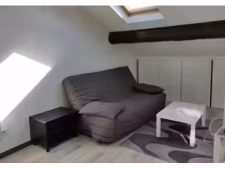 location meublée appartement 1 pièce 20 m² à nancy (54000)  450 €