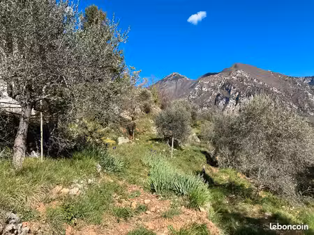 petit f3 dans maison à la campagne