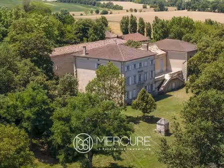 château à vendre