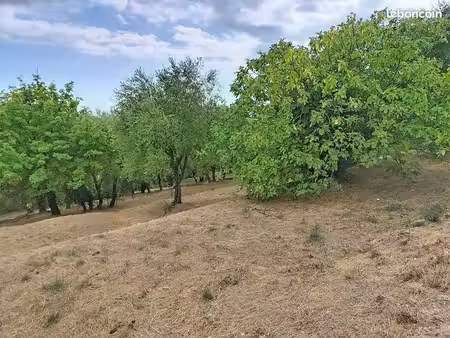 terrain 1420 m² grasse